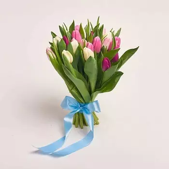 AZALIANOW ЦВЕТЫ. ПОДАРКИ. ДЕКОР Букет из 25 разноцветных тюльпанов