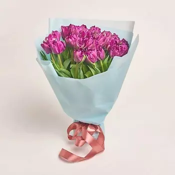 AZALIANOW ЦВЕТЫ. ПОДАРКИ. ДЕКОР Букет из 25 фиолетовых пионовидных тюльпанов в голубой пленке