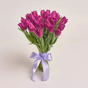 AZALIANOW ЦВЕТЫ. ПОДАРКИ. ДЕКОР Букет из 25 тюльпанов фиолетового цвета