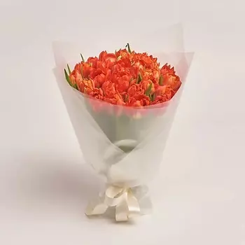 AZALIANOW ЦВЕТЫ. ПОДАРКИ. ДЕКОР Букет из 25 пионовидных красных тюльпанов в пленке