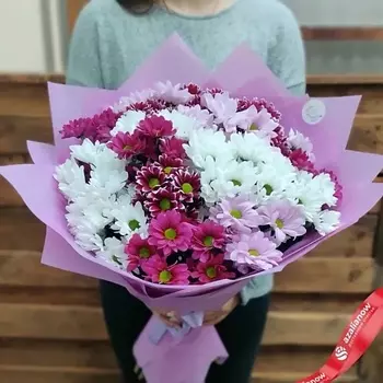 AZALIANOW ЦВЕТЫ. ПОДАРКИ. ДЕКОР Букет из 25 разноцветных кустовых хризантем