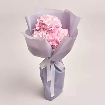 AZALIANOW ЦВЕТЫ. ПОДАРКИ. ДЕКОР Букет из 3 розовых гортензий в серой пленке