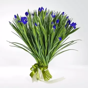 AZALIANOW ЦВЕТЫ. ПОДАРКИ. ДЕКОР Букет из 49 ирисов