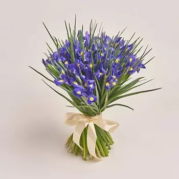 AZALIANOW ЦВЕТЫ. ПОДАРКИ. ДЕКОР Букет из 51 ириса оформленных под атласную ленту