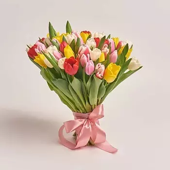 AZALIANOW ЦВЕТЫ. ПОДАРКИ. ДЕКОР Букет из 51 разноцветного тюльпана