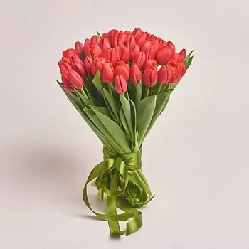 AZALIANOW ЦВЕТЫ. ПОДАРКИ. ДЕКОР Букет из 51 красного тюльпана