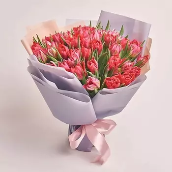 AZALIANOW ЦВЕТЫ. ПОДАРКИ. ДЕКОР Букет из 51 пионовидного малинового тюльпана в пленке