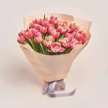 AZALIANOW ЦВЕТЫ. ПОДАРКИ. ДЕКОР Букет из 51 розового пионовидного тюльпана в кремовой пленке