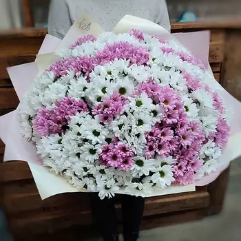 AZALIANOW ЦВЕТЫ. ПОДАРКИ. ДЕКОР Букет из 55 разноцветных кустовых хризантем в упаковке