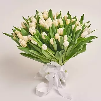 AZALIANOW ЦВЕТЫ. ПОДАРКИ. ДЕКОР Букет из 75 белых тюльпанов