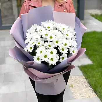 AZALIANOW ЦВЕТЫ. ПОДАРКИ. ДЕКОР Букет из 7 белых хризантем оформленных в упаковку