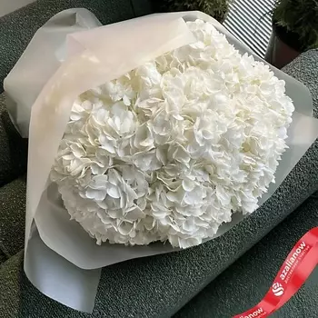 AZALIANOW ЦВЕТЫ. ПОДАРКИ. ДЕКОР Букет из 9 белых гортензий в белой бумаге