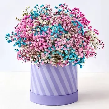 AZALIANOW ЦВЕТЫ. ПОДАРКИ. ДЕКОР Букет из разноцветных гипсофил в шляпной коробке