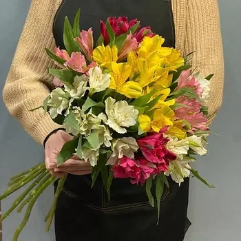 АЗАЛИЯ FLOWER PUB Букет микс из 11 Альстромерий
