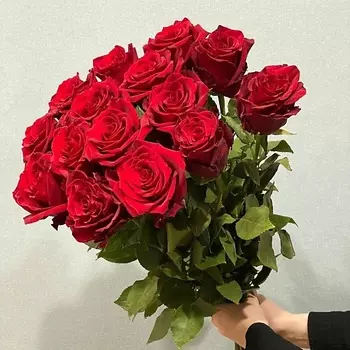 АЗАЛИЯ FLOWER PUB Роза красная Эквадор 70 сантиметров,15 штук