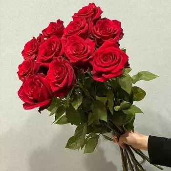 АЗАЛИЯ FLOWER PUB Роза красная Эквадор 70 сантиметров,11 штук