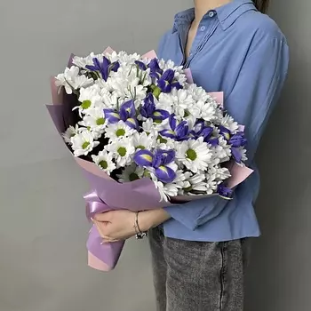 БАЗАЦВЕТОВ24.РУ Букет из 11 ирисов с белыми хризантемами Бакарди в сиреневой упаковке