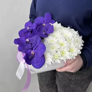 БАЗАЦВЕТОВ24.РУ Яркий букет с 3 хризантемами и орхидеями Ванда в коробке-сердце