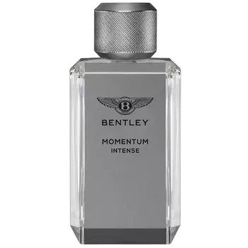 BENTLEY Momentum Intense 100