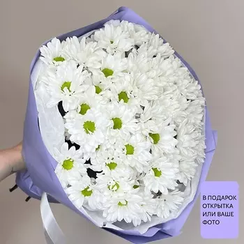 БЕТТЕР ГИФТС Большой букет Purp Chic из 11 белых кустовых ромашек