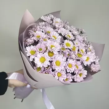 БЕТТЕР ГИФТС Букет Pink paradise M из 11 кустовой ромашки (хризантемы) Сантини