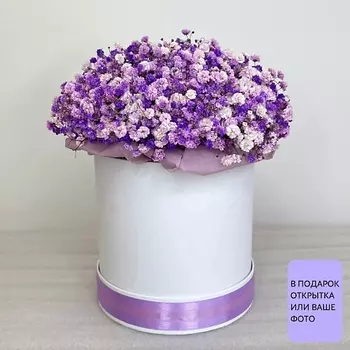 БЕТТЕР ГИФТС Цветочная коробка Darling white из лавандовая гипсофилы