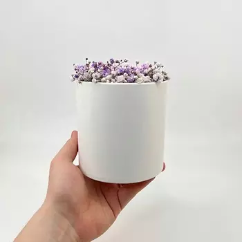 БЕТТЕР ГИФТС Цветочный букет из лавандовой гипсофилы в коробочке Beetle