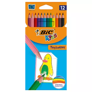 BIC Разноцветные карандаши для рисования