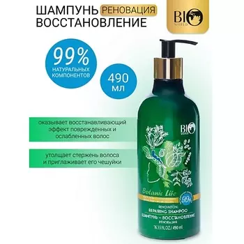 BIOWORLD Шампунь-восстановление "Черный тмин, бесцветная хна" Botanic Life 490.0