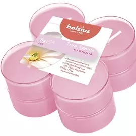 BOLSIUS Свечи чайные арома Bolsius True scents магнолия