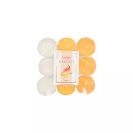 BOLSIUS Свечи чайные ароматические Sensilight Манго