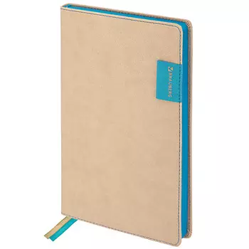 BRAUBERG Ежедневник недатированный А5 AIM