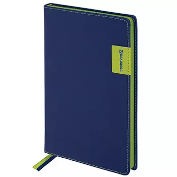 BRAUBERG Ежедневник недатированный А5 AIM