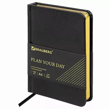 BRAUBERG Ежедневник недатированный А6 Iguana