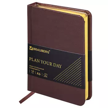BRAUBERG Ежедневник недатированный А6 Iguana