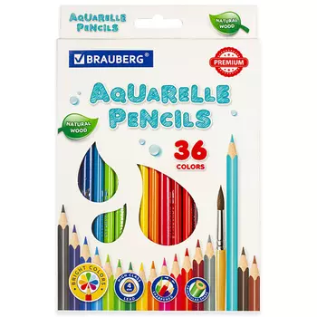 BRAUBERG Карандаши цветные акварельные PREMIUM AQUARELLE