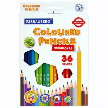 BRAUBERG Карандаши цветные PREMIUM