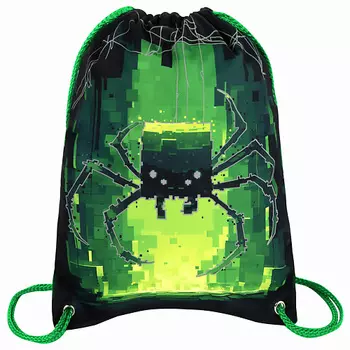 BRAUBERG Мешок для обуви PREMIUM, карман, подкладка Digital spider