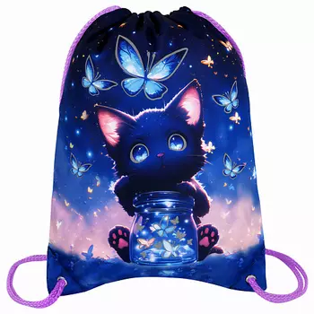 BRAUBERG Мешок для обуви PREMIUM, карман, подкладка Night catcher