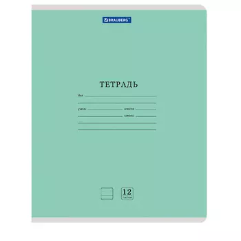 BRAUBERG Набор тетрадей New линия