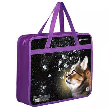 BRAUBERG Папка на молнии с ручками, 1 отделение, Dream cat