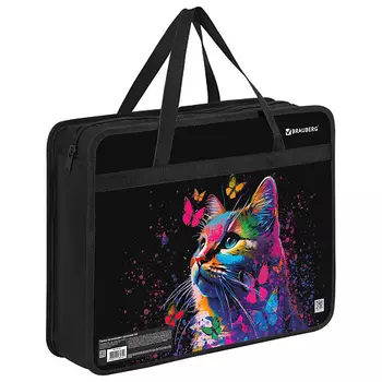 BRAUBERG Папка на молнии с ручками А4 Ловец