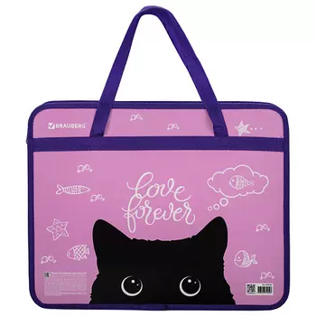 BRAUBERG Папка на молнии с ручками Black Cat