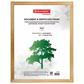 BRAUBERG Рамка 30*40 HIT канадкая