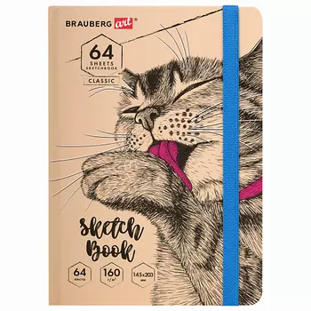 BRAUBERG Скетчбук 64 листа Это Кот
