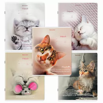 BRAUBERG Тетрадь 18л. КОМПЛЕКТ 10шт, клетка, Котики