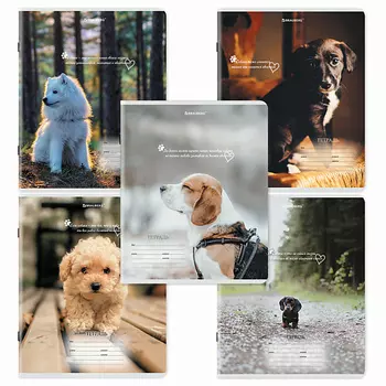 BRAUBERG Тетрадь 18л. КОМПЛЕКТ 10шт, клетка, Щеночки