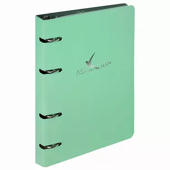 BRAUBERG Тетрадь на кольцах 120л Пастель