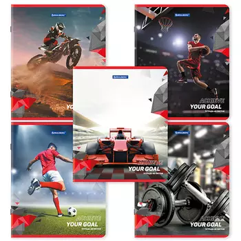 BRAUBERG Тетради Дэк А5 Sport Club