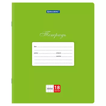BRAUBERG Тетради ДЭК 18л 20шт клетка ЗЕЛЁНАЯ